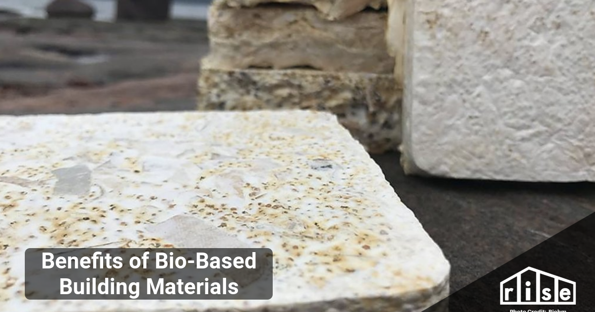 Picture of Benefits of Bio-Based Building Materials